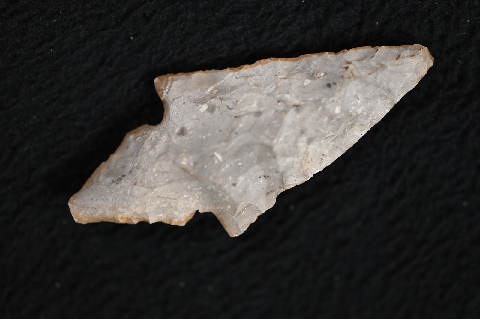 2 1/2" Turkeytail Arrowhead  Ex: Phil Potter Collection of Evansville Indiana. (1 of 10)