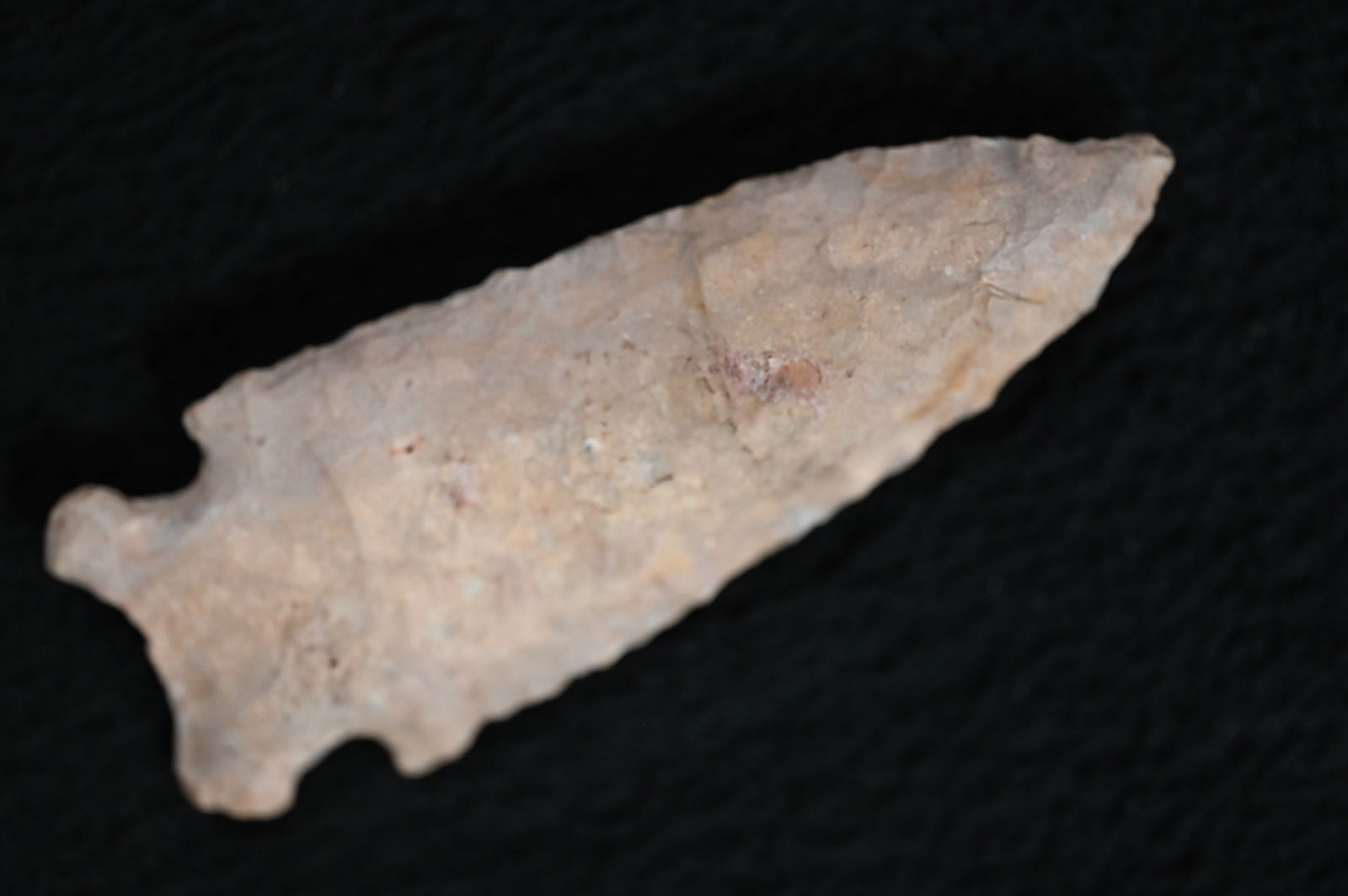 3 1/8" Osceola Arrowhead Ex: Phil Potter Collection of Evansville Indiana. (1 of 10)