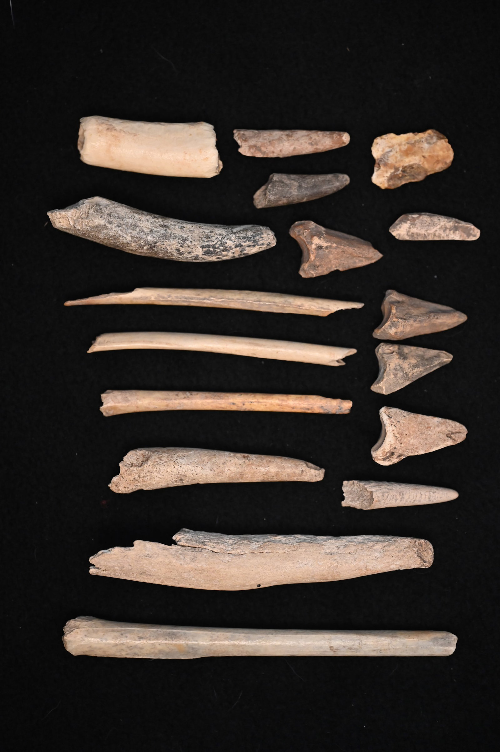 Collection of 15 Ancient Native American Bone Tools 5 1/4" longest found in St. Charles Co.: Collection of 15 Ancient Native American Bone Tools 5 1/4" longest found in St. Charles Co. Missouri.