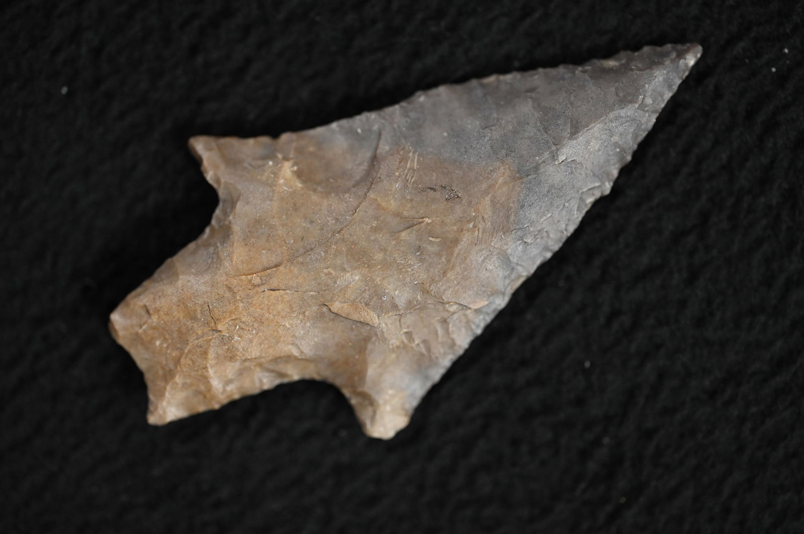 2 5/8" Langtry Arrowhead Found in Texas. (1 of 10)