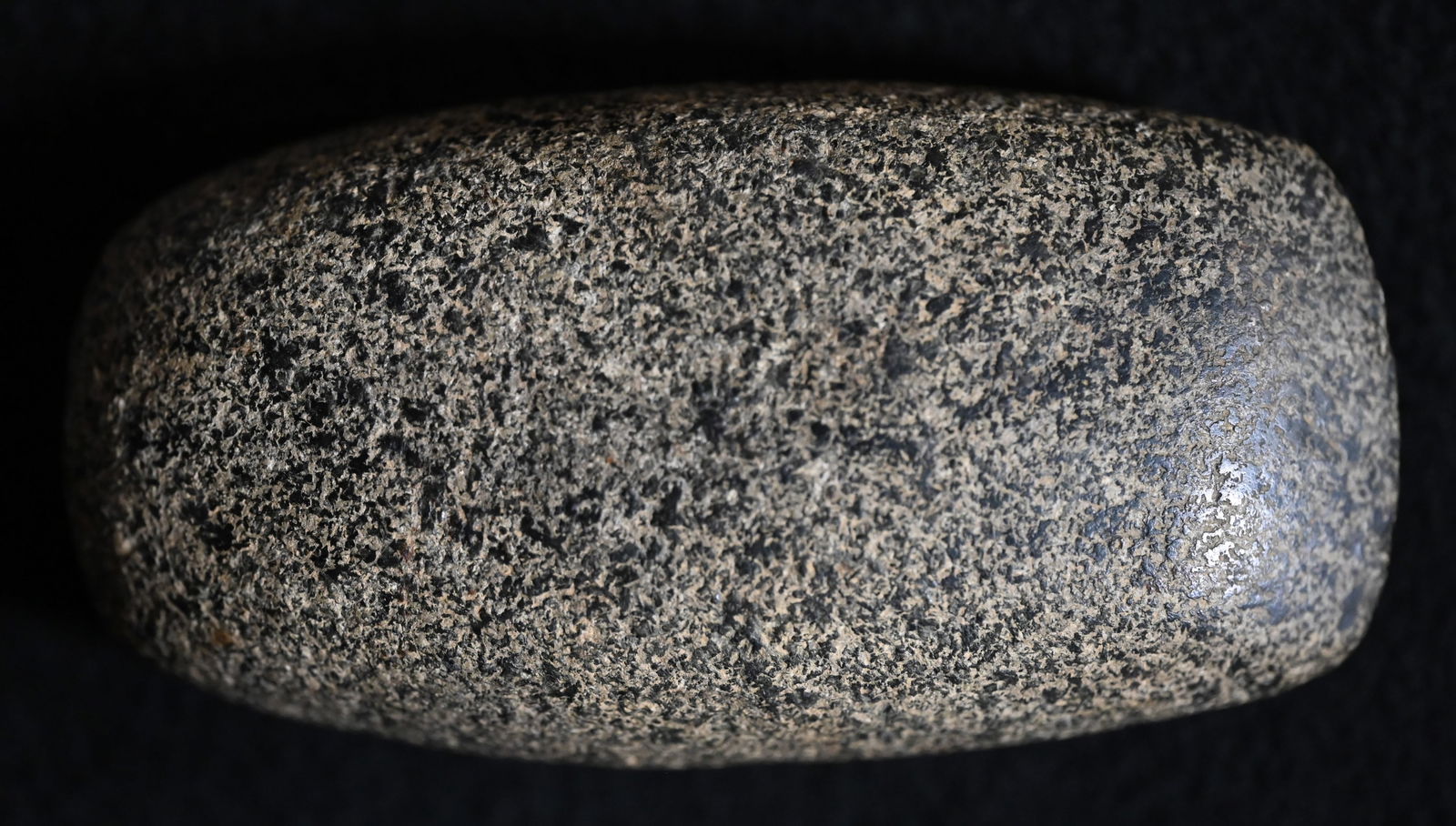4 7/8" Speckled Granite Celt Found in Adams Co. Illinois W/Keele COA Great color and well made. (1 of 9)