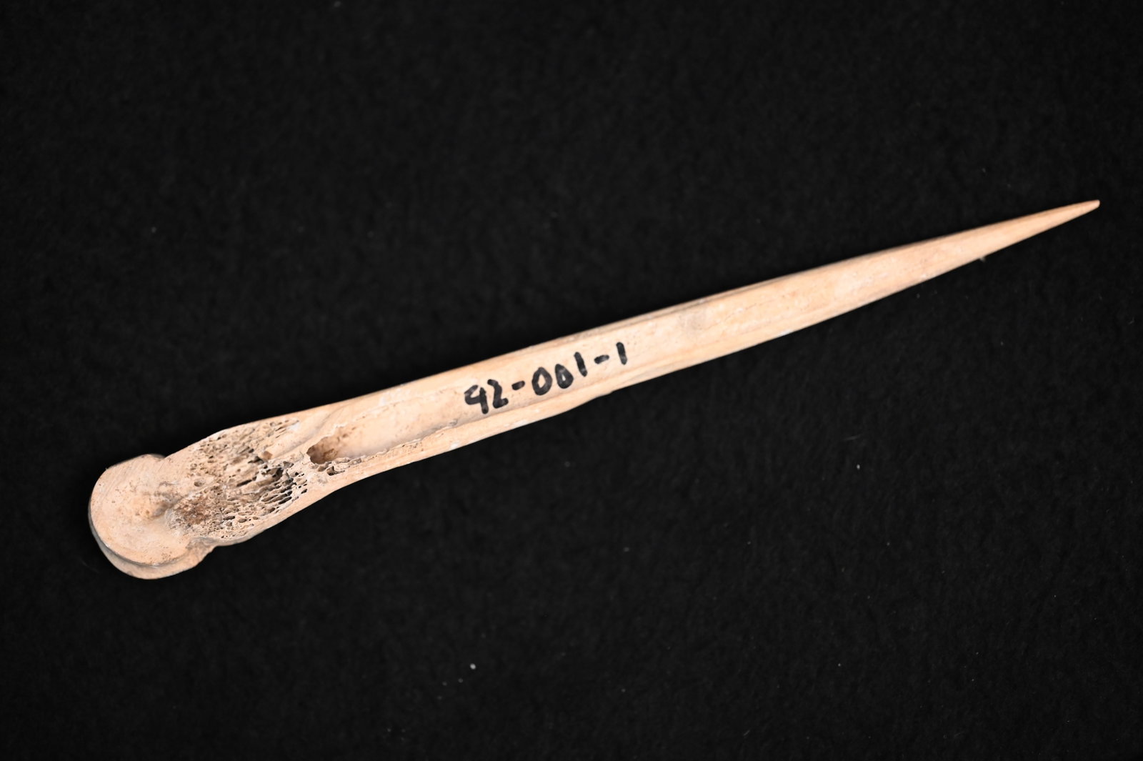 6 9/16" Bone Awl Found in Boone Co. Missouri.: 6 9/16" Bone Awl Found in Boone Co. Missouri.