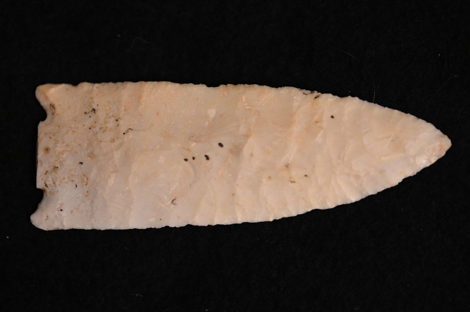 3 5/8" Dovetail " Snapped Base" Found in Pike Co. Illinois. (1 of 9)