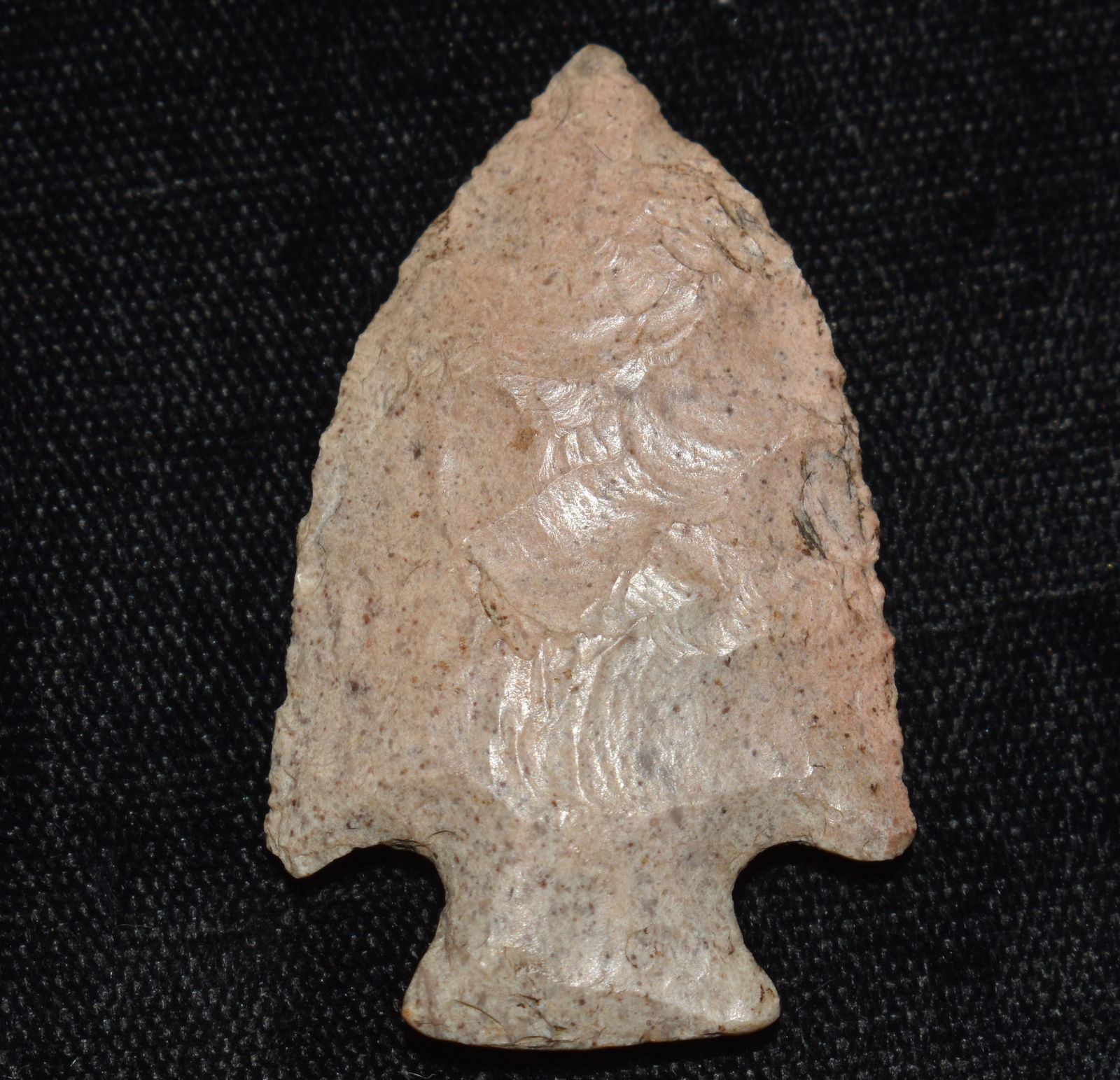1 5/8" Finely Flaked Bottleneck Arrowhead found in Pettis County, Missouri (1 of 9)