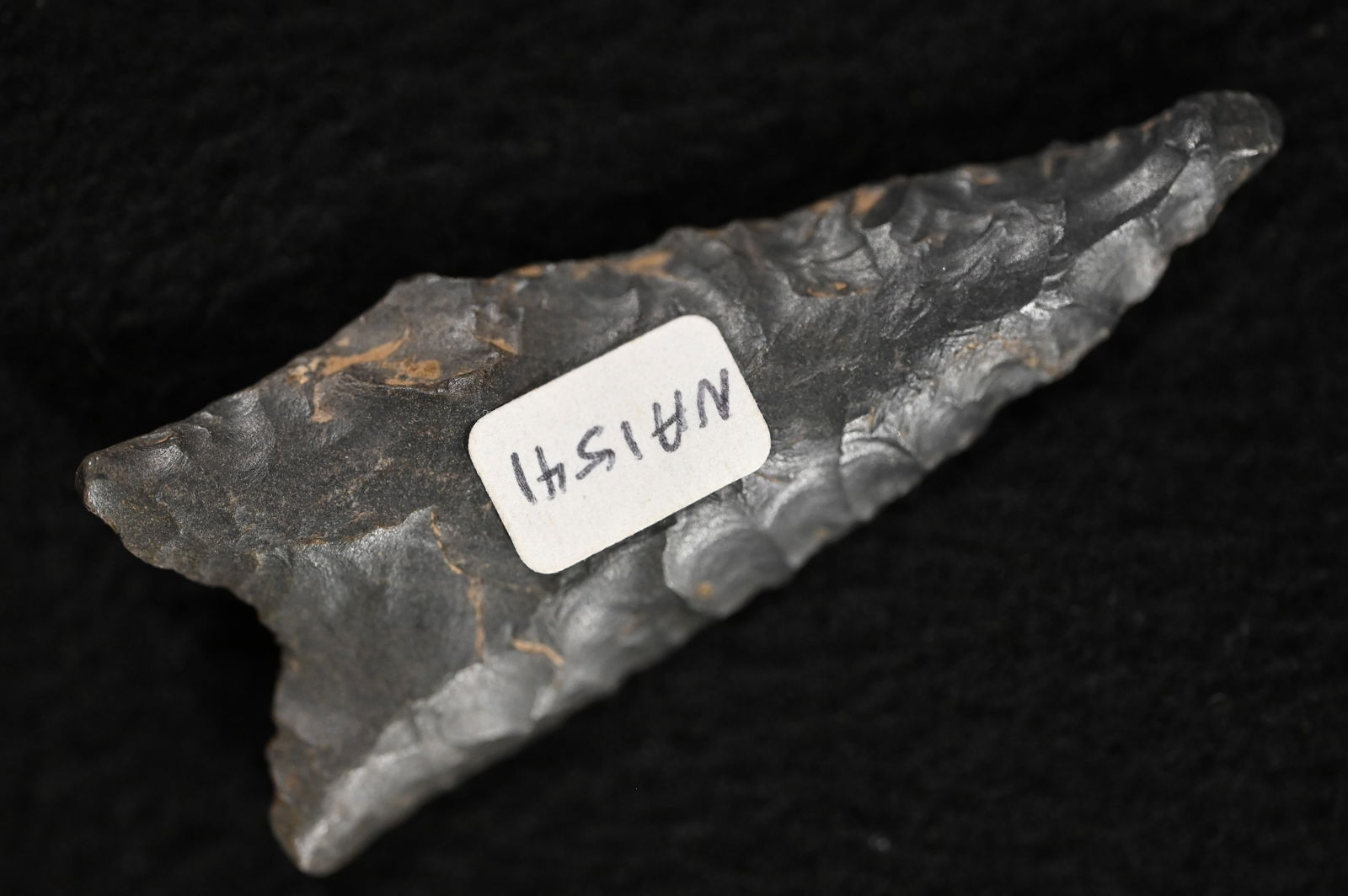 2 3/16" Dalton Found in Northeast Arkansas Ex: Dr. Kent Westbrook Collection. (1 of 6)