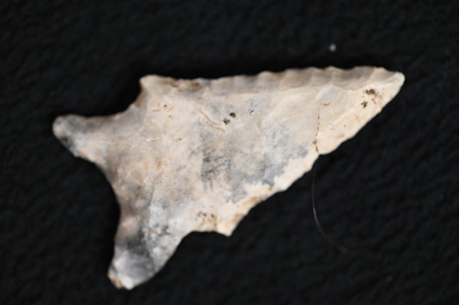 2 5/16" Graham Cave  Arrowhead Found in St. Charles Co. Missouri. (1 of 10)