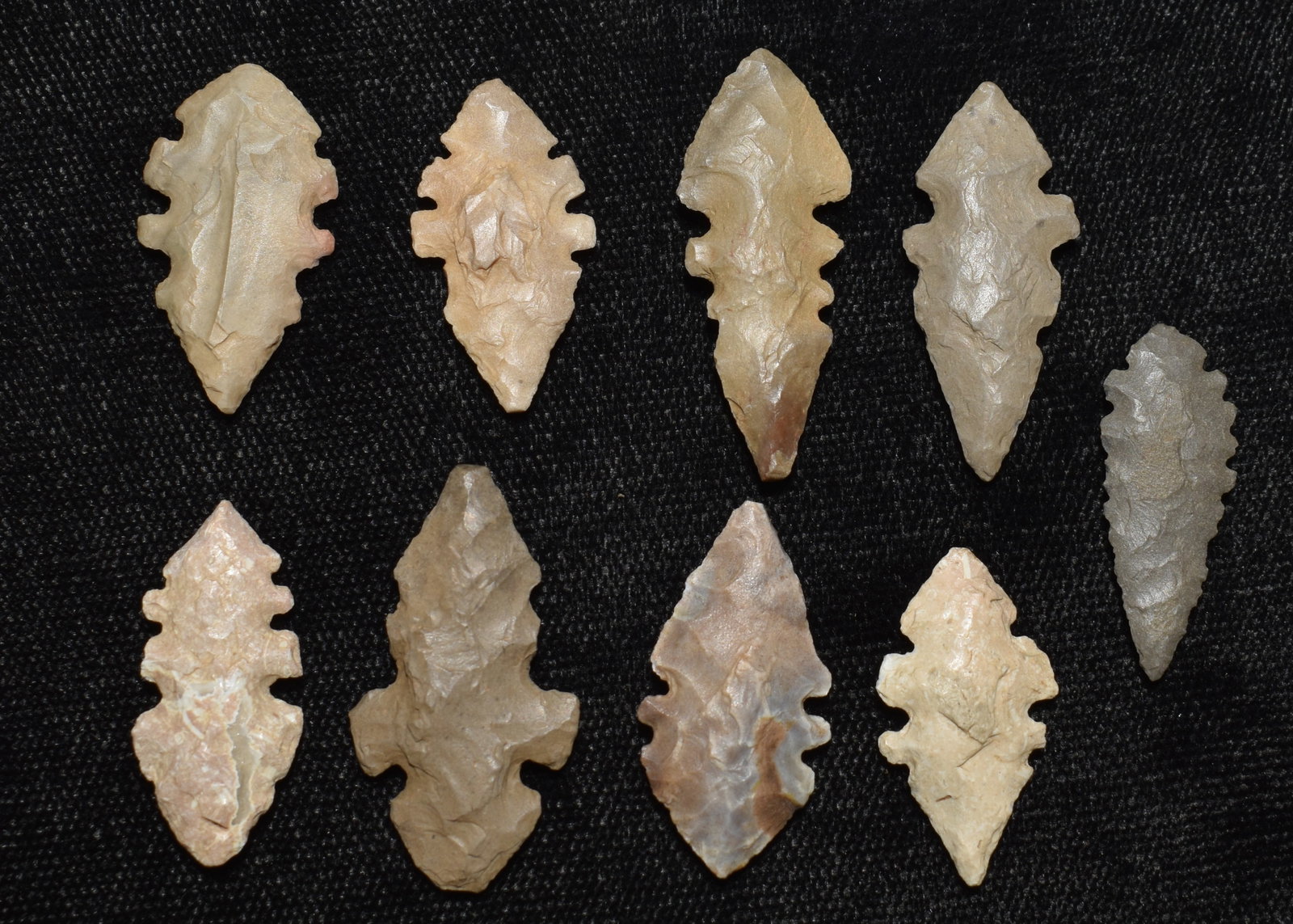 9 Neolithic Eccentric Formed Arrowheads from Africa: 9 Neolithic Eccentric Formed Arrowheads from Africa. Sizes range from 7/8" to 1 1/8"