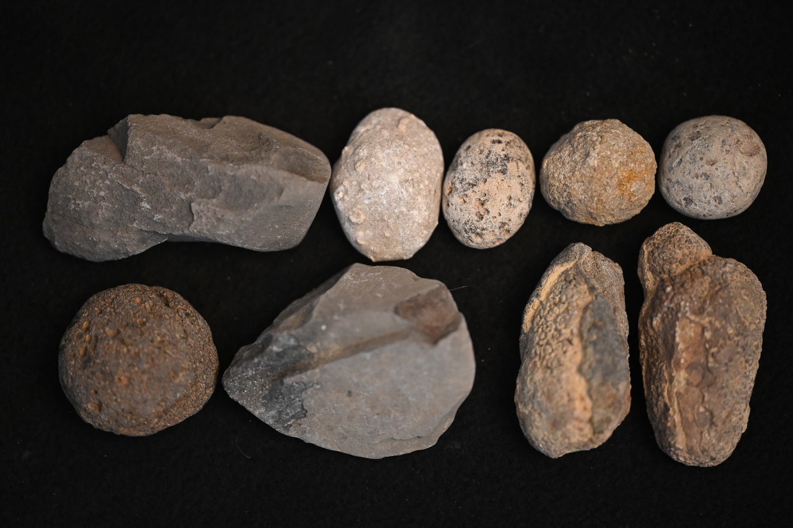 8 Uncracked Fossil Nodules 3" Largest.: 8 Uncracked Fossil Nodules 3" Largest.