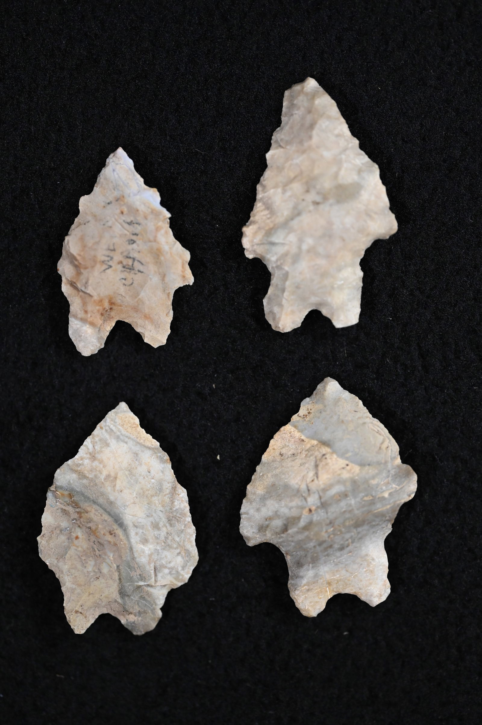 4 Indiana Green Bifurcated Points 1 1/4" largest. Found in Vermillion Co. Illinois. (1 of 11)