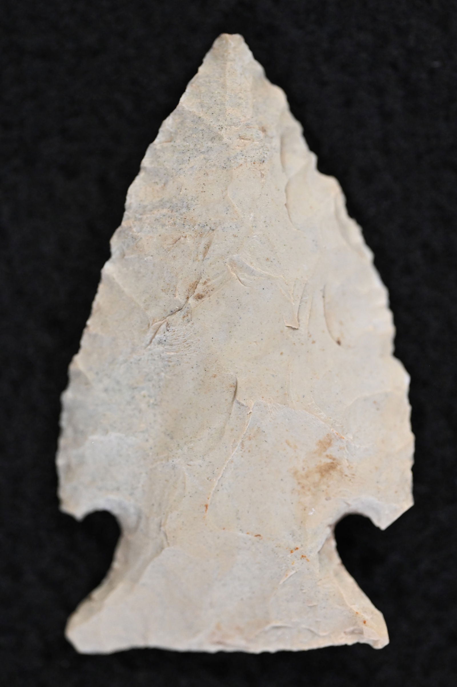 1 3/4" Jack's Reef Found in Indiana. (1 of 4)