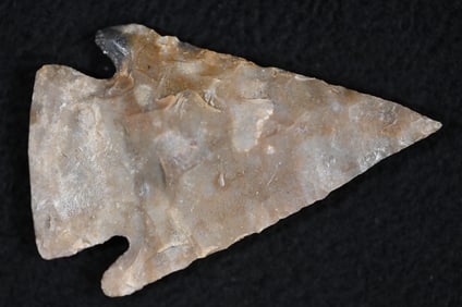 2 1/4" Castroville Arrowhead Found in Texas.