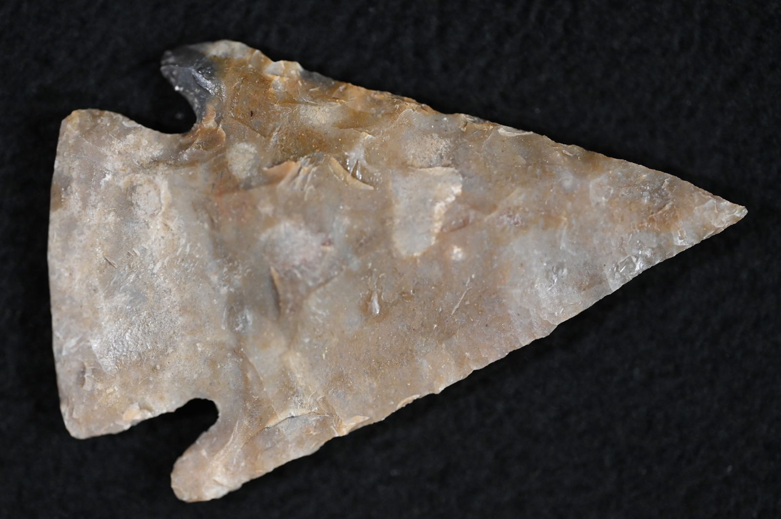 2 1/4" Castroville Arrowhead Found in Texas. (1 of 5)