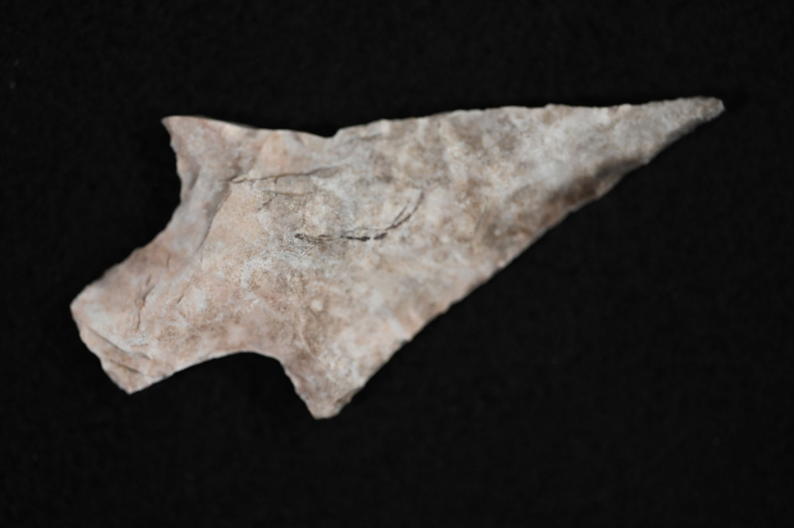 2 5/8" Langtry Arrowhead Found in Texas. (1 of 5)