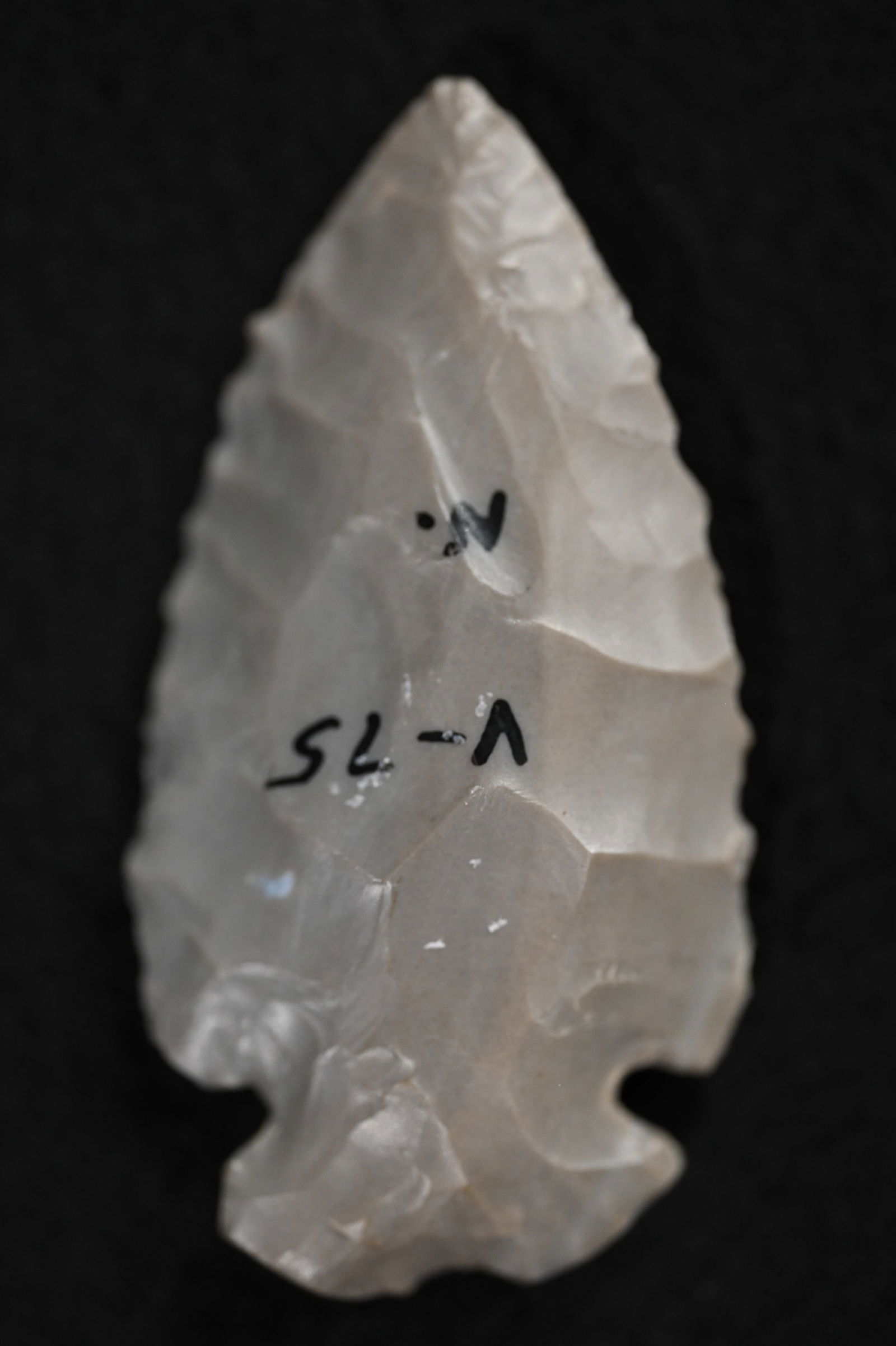 2 1/4" Dovetail Arrowhead Found in Vermillion Co. Illinois. (1 of 5)