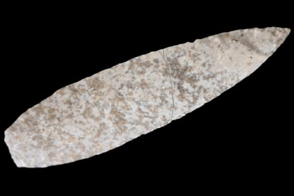 4 1/4" Amazing Angostura Found in Lee Co. Iowa Ryan Keele COA Ex: Jeff Hipskind Collection.