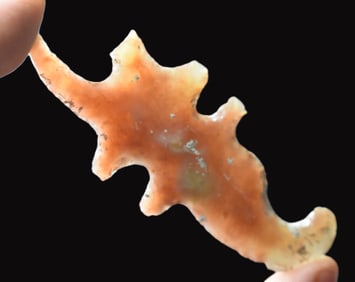 Pre-Columbian Gem Grade Semi Translucent Scorpion Eccentric
