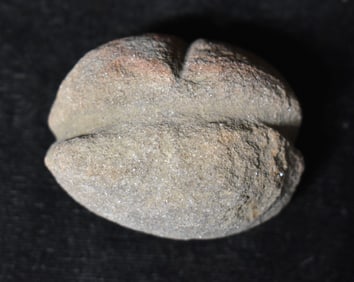 1 7/8" Grooved Boatstone found in Benton County, Missouri