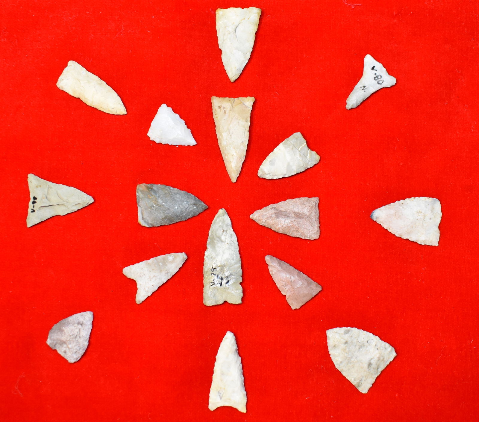 Frame of 16 Madison Arrowheads found in Fountain County, Indiana - Some Indiana Green (1 of 4)