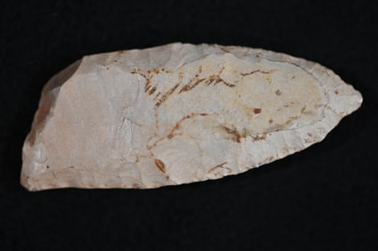2 11/16" Clovis Ex: Walt McIntyre Collection.