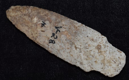 3 1/4" Adena Arrowhead w/ Fossil Inclusions found in Vermillion County, Illinois