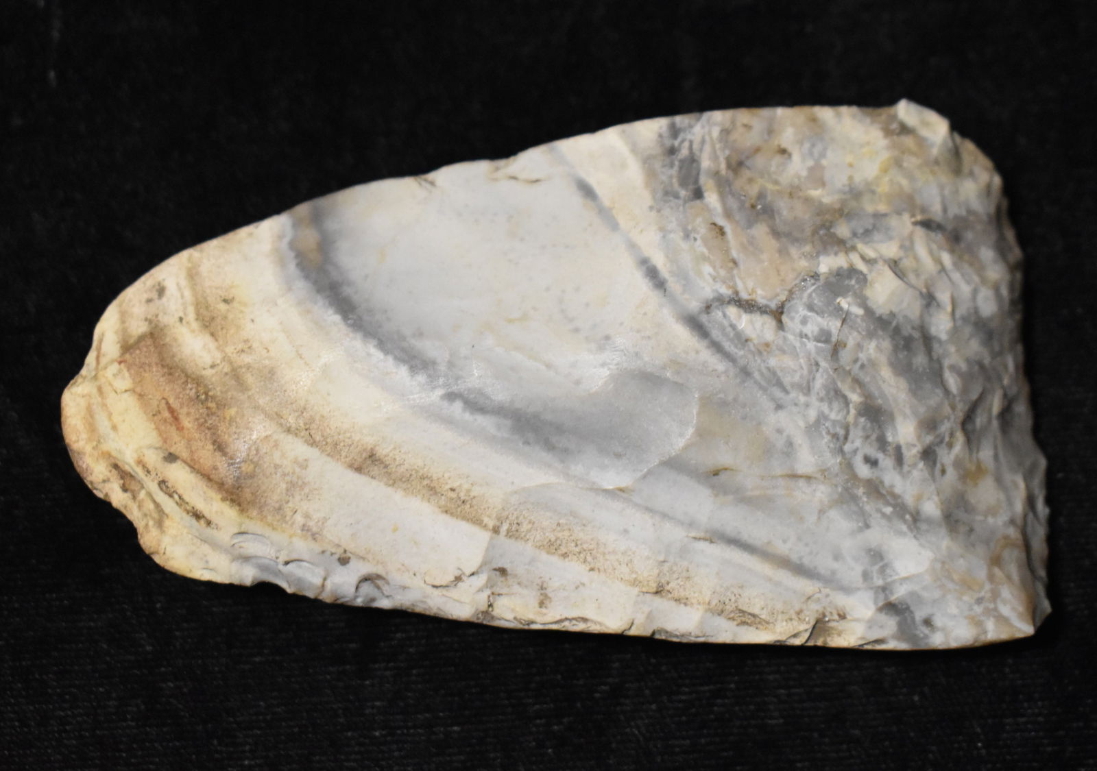 3 5/8" Colorful Mozarkite Dalton Adze found in Pulaski County, Missouri (1 of 7)