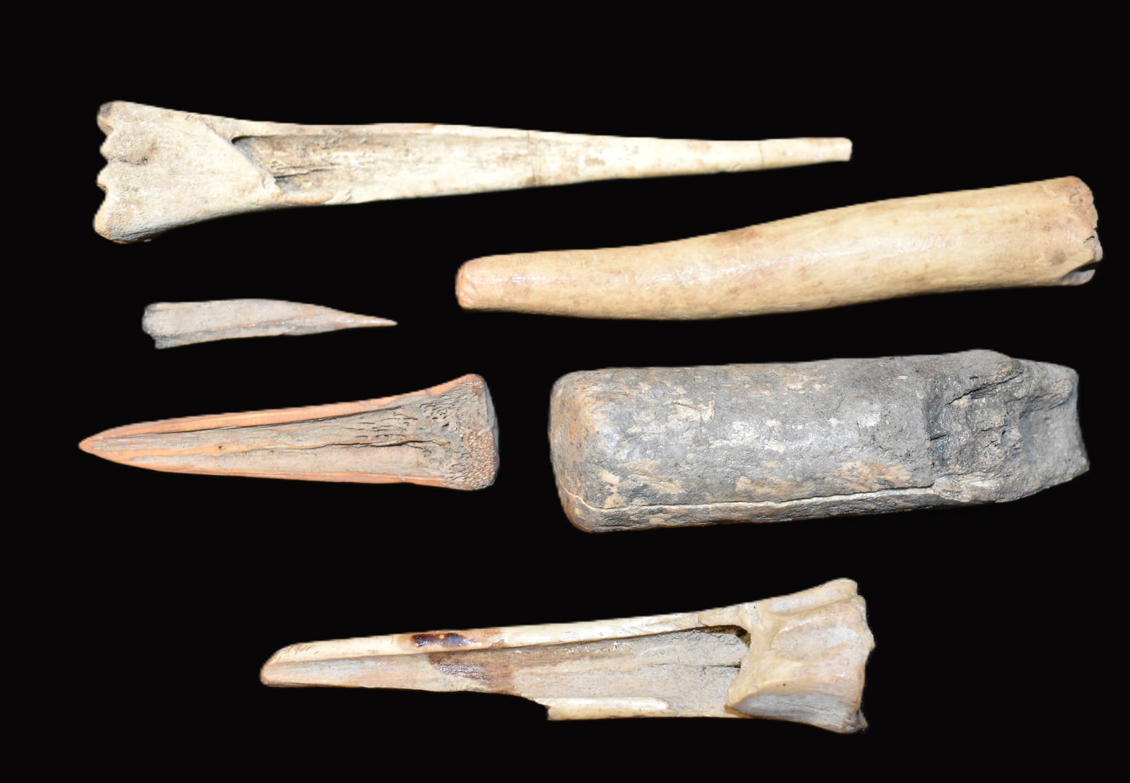 6 Bone Tools - Awls and Punches found in Pulaski County, Missouri: 5 Bone Tools - Awls and Punches found in Pulaski County, Missouri by Tony Rickerson. These measure 2" to 5 3/4". The longer awl has been glued back together in 2 places. The thicker piece in the group