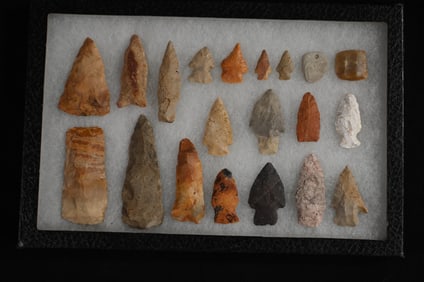 20 Arrowheads Found in St. Louis Co. Missouri 3 3/4" longest in a 8" x 12" Frame.