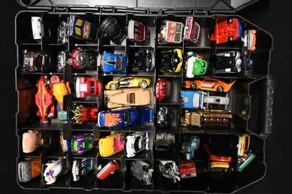 48 Hot Wheels Cars in a Plastic Carrying Case.