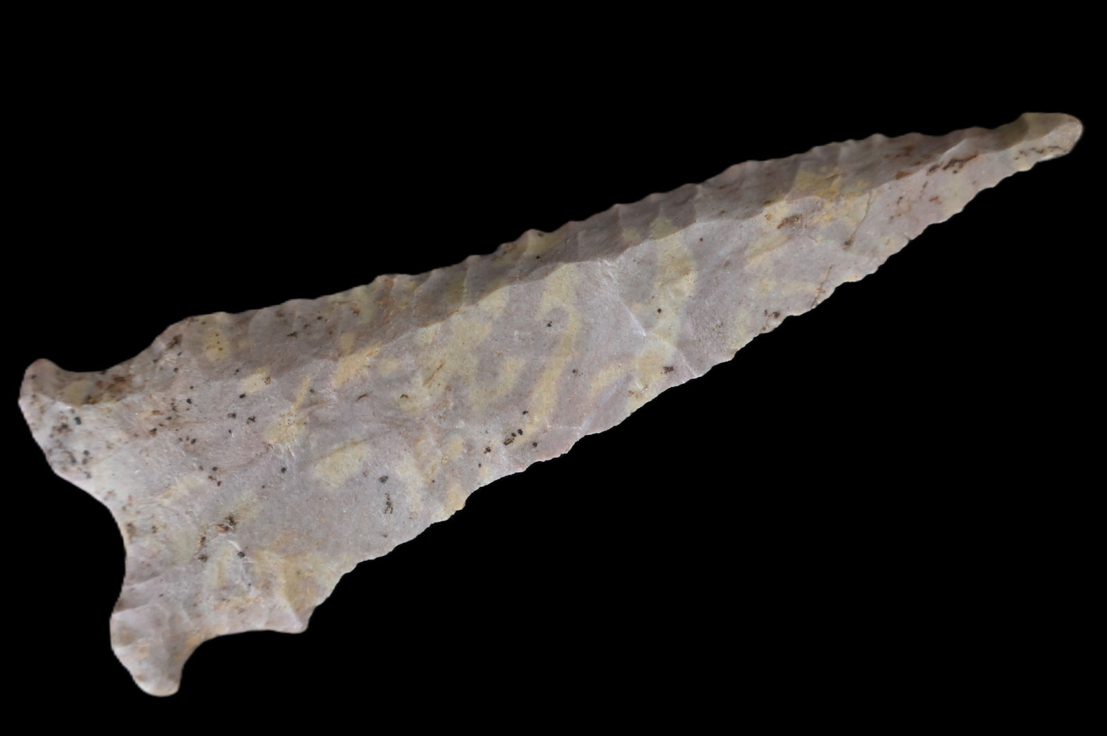 4" Greenbriar Dalton Found in Pettis Co. Missouri Comes with a Ryan Keele COA Ex: Ryan Keele, Matt L