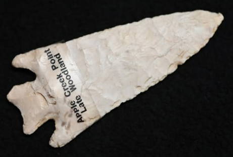 3 1/4" Apple Creek Arrowhead Found in Adams Co. IL by Tony Wietholder W/COA Ex: Herb Mangold: 3 1/4" Apple Creek Arrowhead Found in Adams Co. IL by Tony Wietholder W/COA Ex: Herb Mangold Collection.