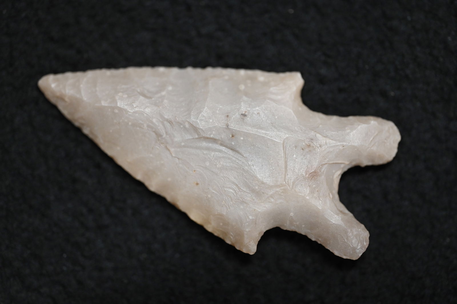 2 9/16" Montell Arrowhead Found in Texas. (1 of 6)