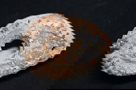 Holy Land Terracotta Oil Lamp Circa 400-700 AD. 2 7/8" long.: Ancient Roman Fired Clay Terracotta Oil Lamp from the Byzantine Era. Used as the main source of light for thousands of years the oil lamp was a very important inventions that was only slightly modifie