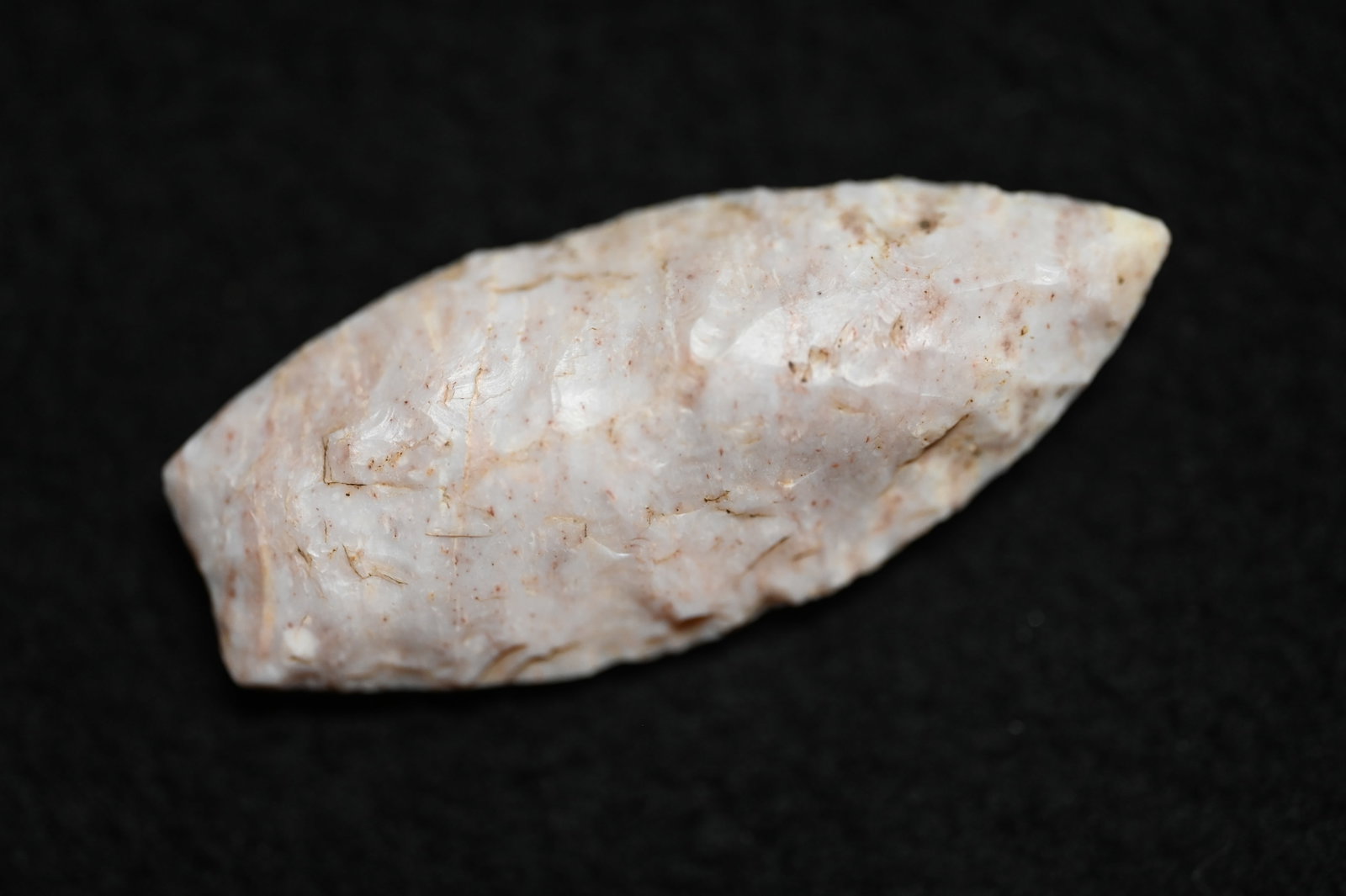 2 1/16" Angostura Found in Johnson Co. Missouri Comes with a Roy Motley COA Ex: Patrick Raines: 2 1/16" Angostura Found in Johnson Co. Missouri Comes with a Roy Motley COA Ex: Patrick Raines Collection.