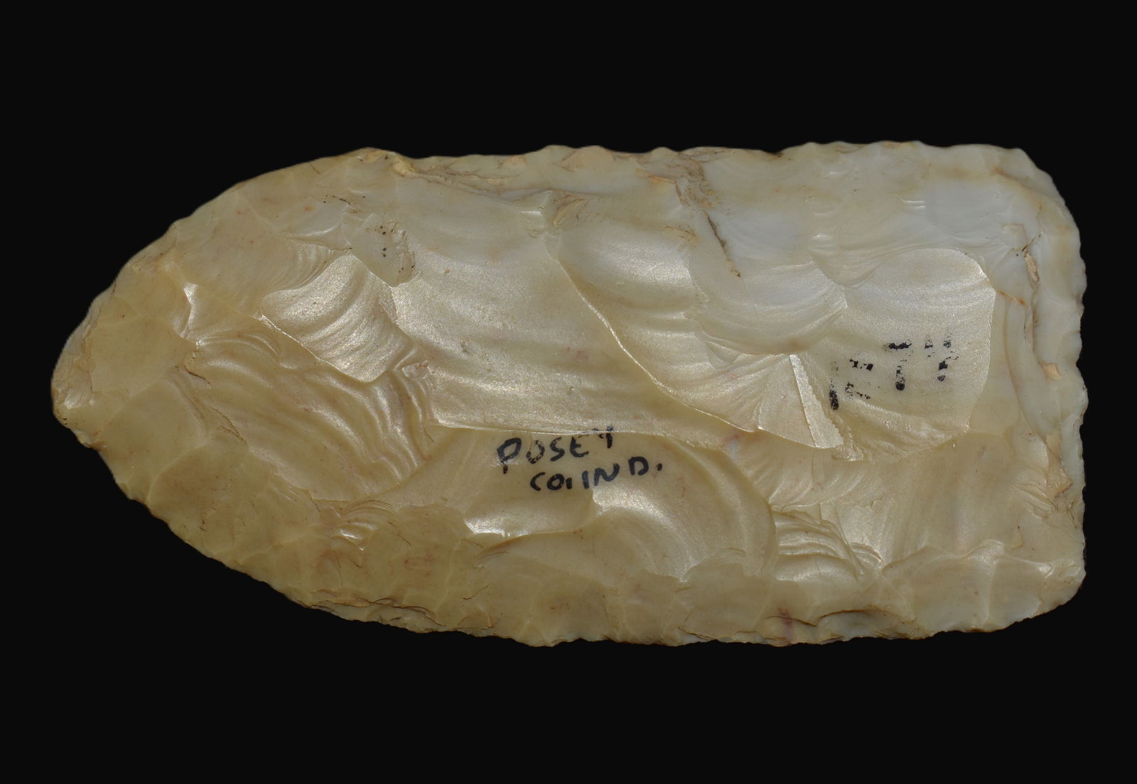3 1/4" Torqued Flint Ridge Blade found in Posey County, IN (1 of 9)