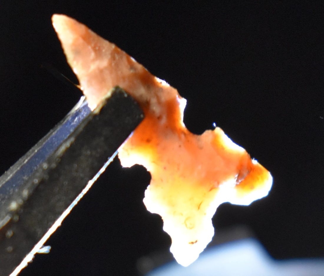 7/8" Finely Made Colorful Harrell Arrowhead found in West Texas: 7/8" Finely Made Colorful Harrell Arrowhead found in West Texas. From the late Chuck Asher Collection.