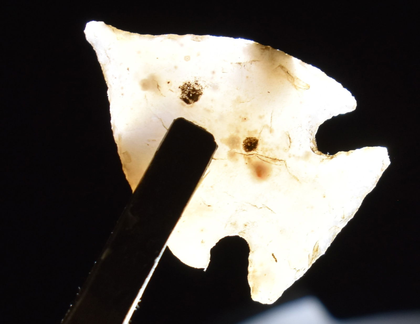 7/8" Finely Made Agate Sequoia Arrowhead - Gem Point from West Texas (1 of 7)