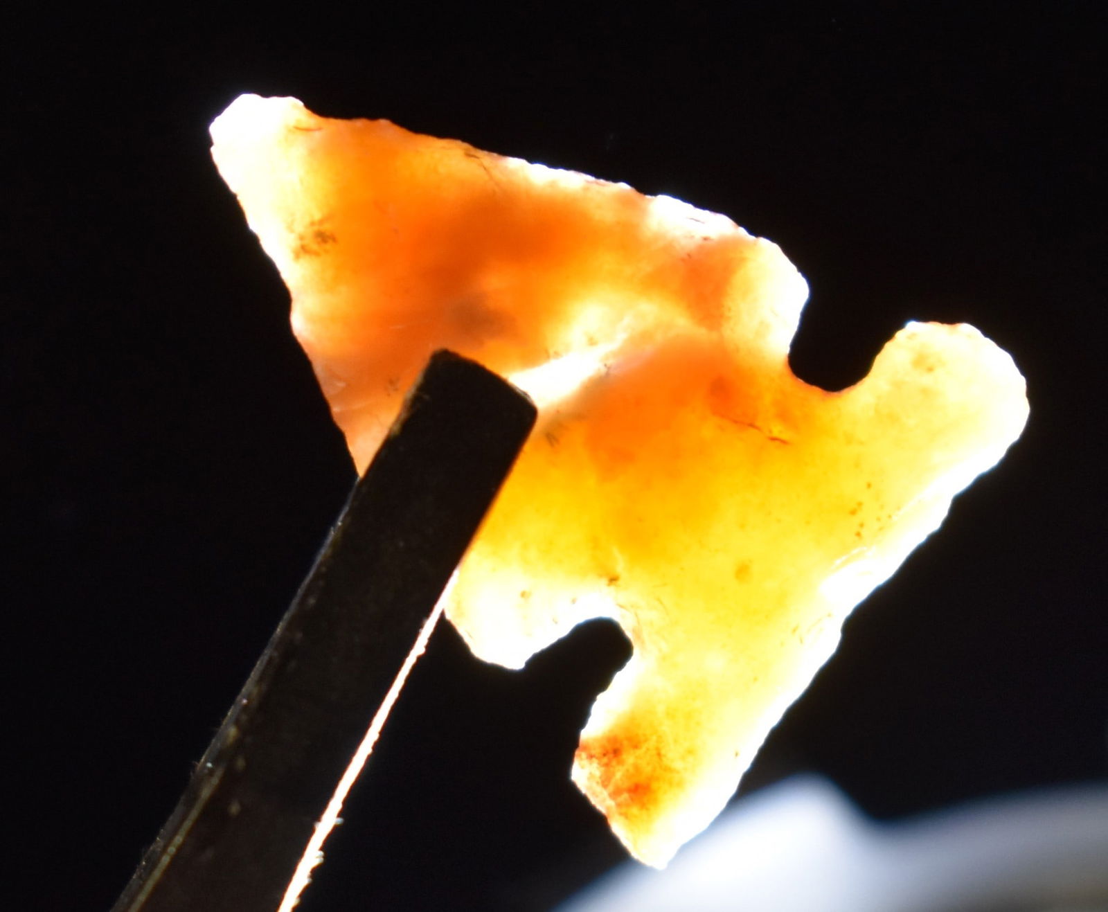 1" Honey Agate Washita Arrowhead found in West Texas - Gem Point: 1" Honey Agate Washita Arrowhead found in West Texas - Gem Point. From the late Chuck Asher Collection.