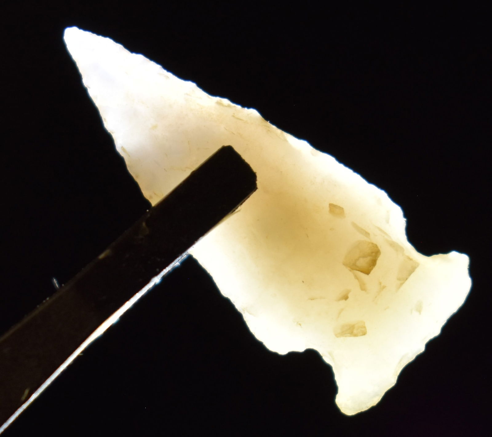 1 1/4" Gem Bird Point found in West Texas - Agate (1 of 7)