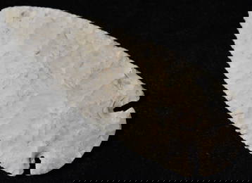 4 7/16" Top End Dovetail found in Madison County, Ill w/ Keele COA