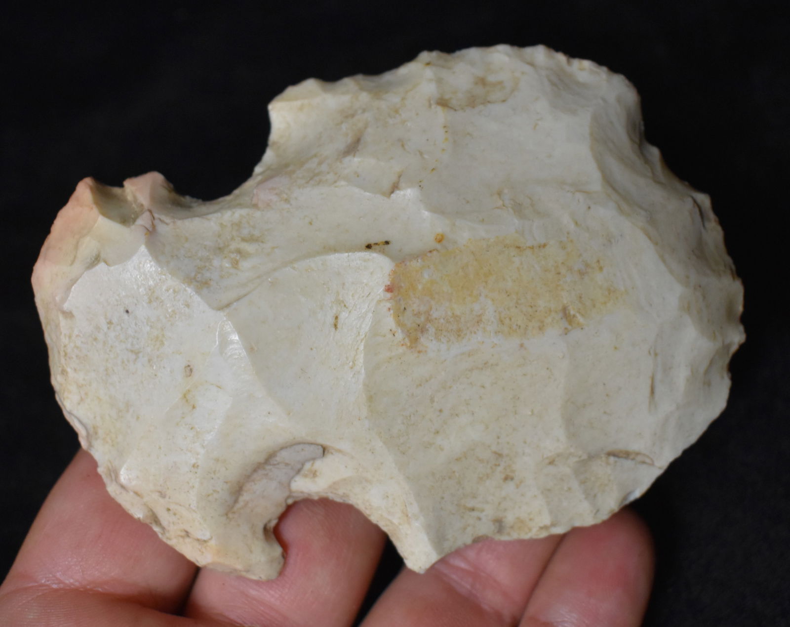 4 1/8" Burlington Notched Hoe found in Barry County, Missouri by Richard Bisby (1 of 7)