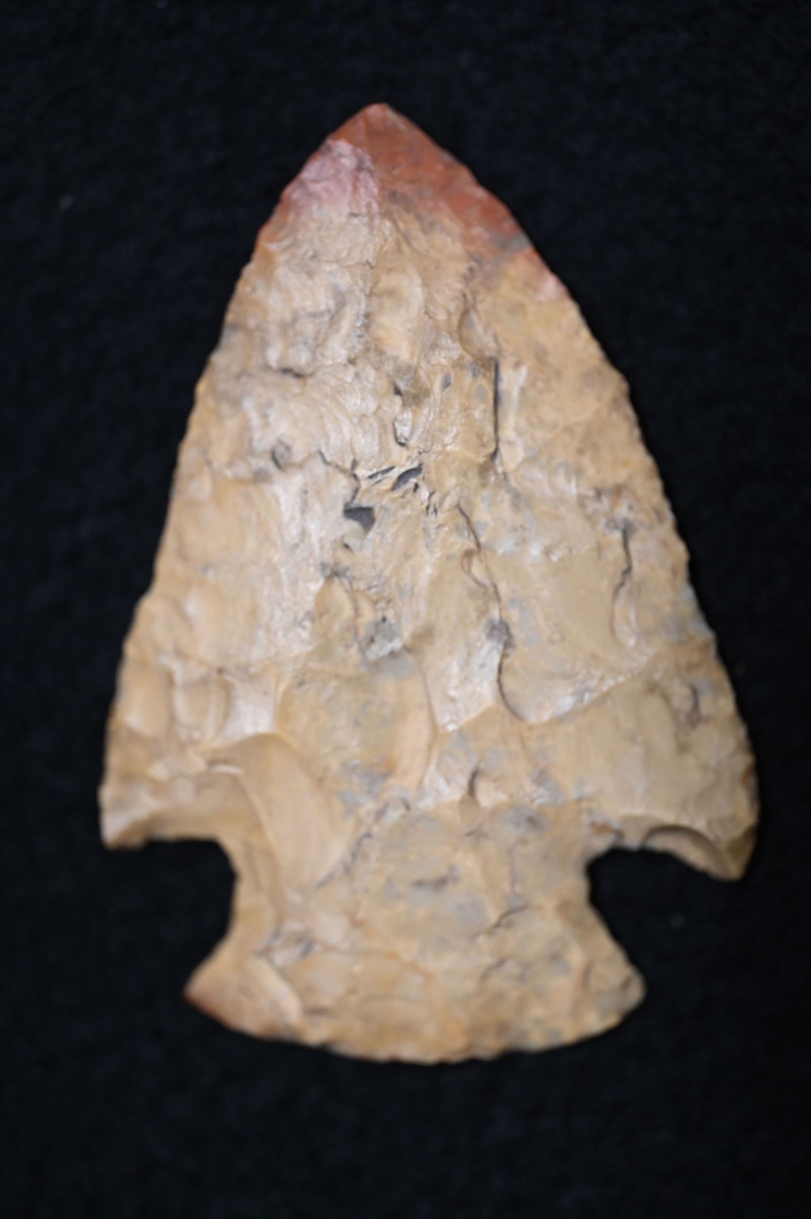 2 5/8" Snyders Arrowhead Found in Pettis Co. Missouri Ex: George Wolf Collection. (1 of 6)