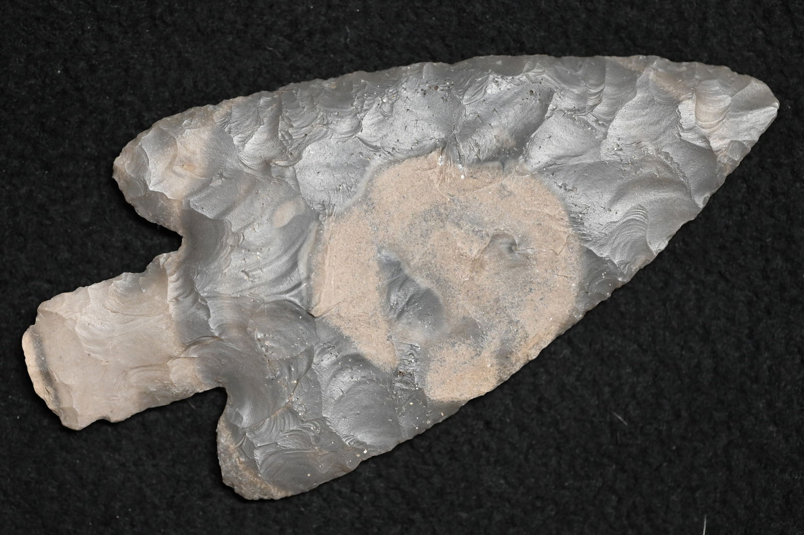 Phenomenal 4 9/16" Buck Creek Found in Marshall Co. Kentucky Dwain Rogers COA Ex: Charles West, Paul (1 of 7)