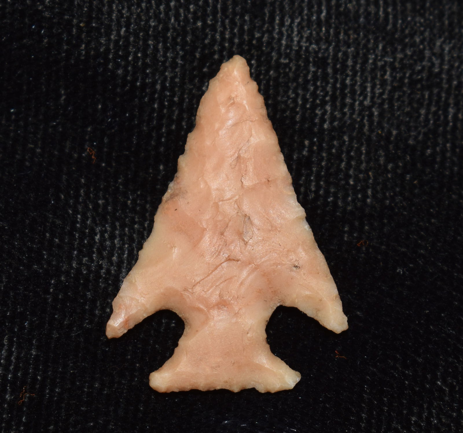Super Fine 1" Scallorn Arrowhead found in Boone County, Missouri (1 of 8)