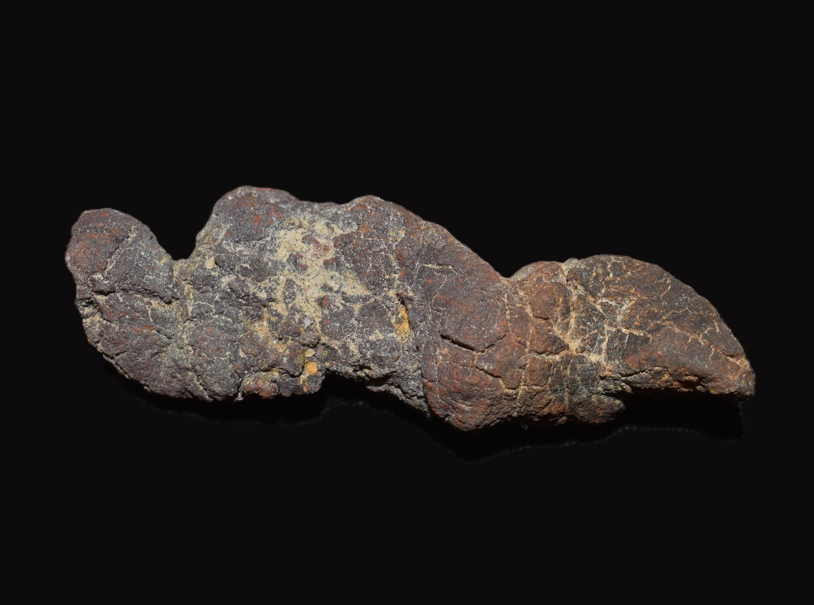 Fossilized Turtle Poop (Coprolite) found in Madagascar: Fossilized Turtle Poop (Coprolite) found in Madagascar. Excellent example measuring close to 3".