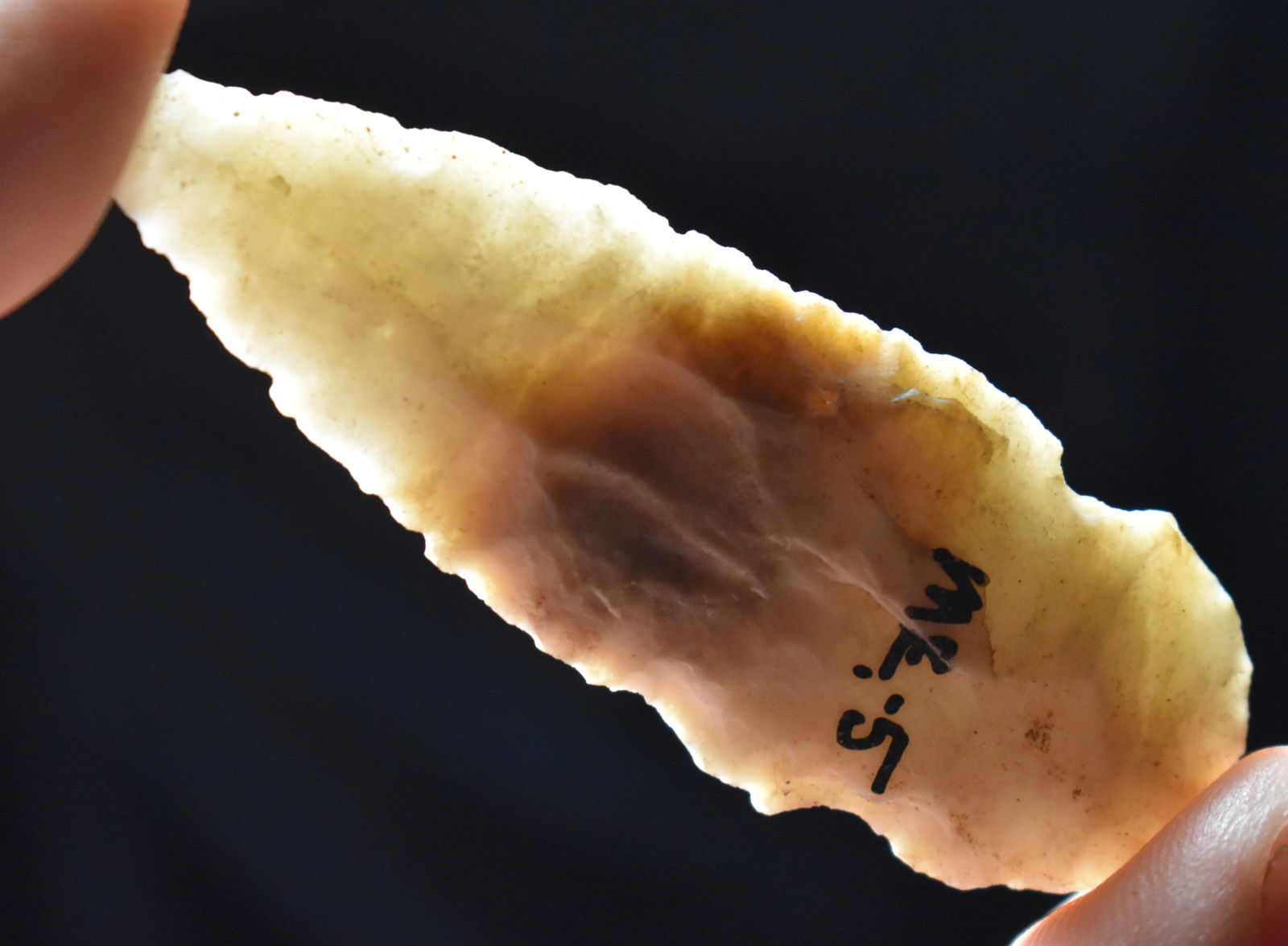 2 3/4" Turkeytail found in McLean County, Ill (1 of 8)