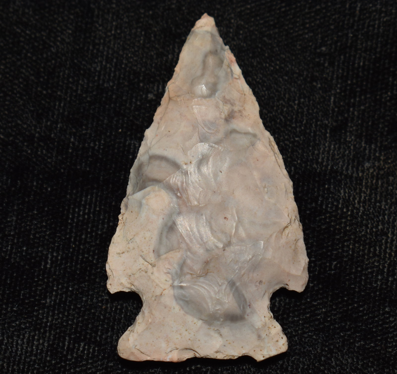 1 7/8" Matanzas found in Woodford County, Ill: 1 7/8" Matanzas found in Woodford County, Ill