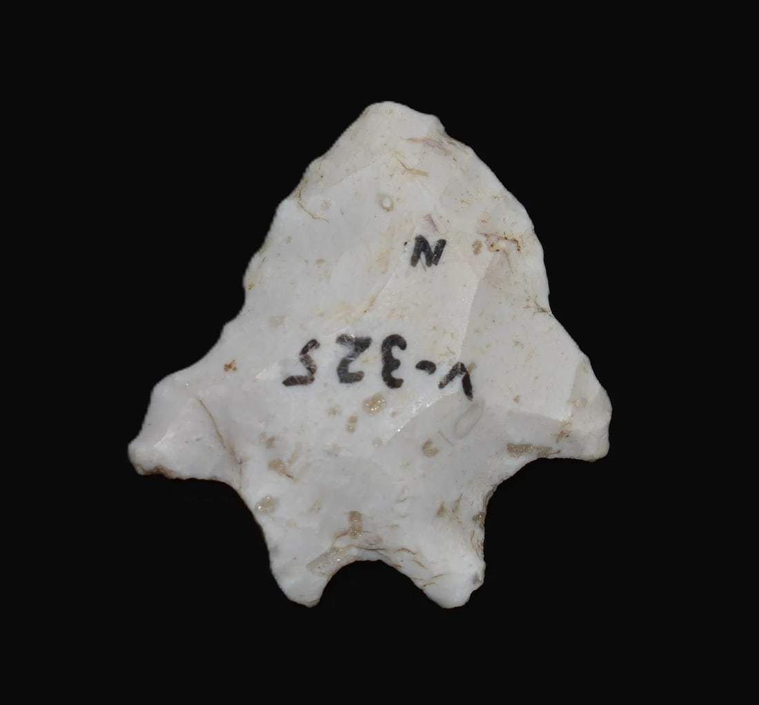 1 1/4" Lecroy Bifurcate found in Vermillion County, Illinois: 1 1/4" Lecroy Bifurcate found in Vermillion County, Illinois. Ex Bobby Collins Collection
