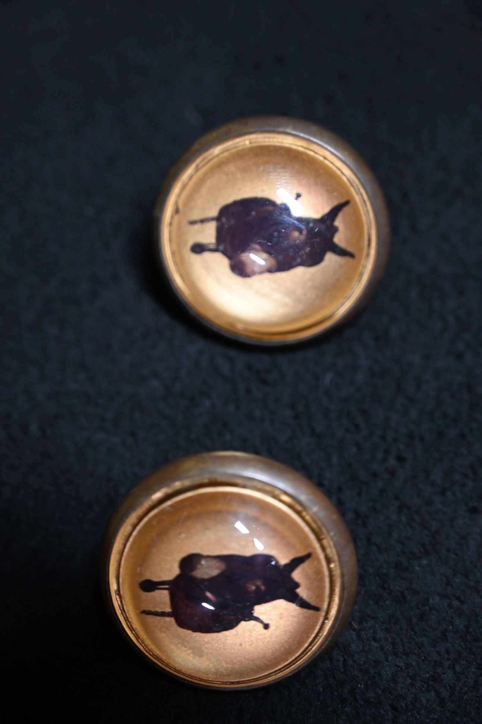 Matching Set of Horse Bridle Rosette's. (1 of 4)