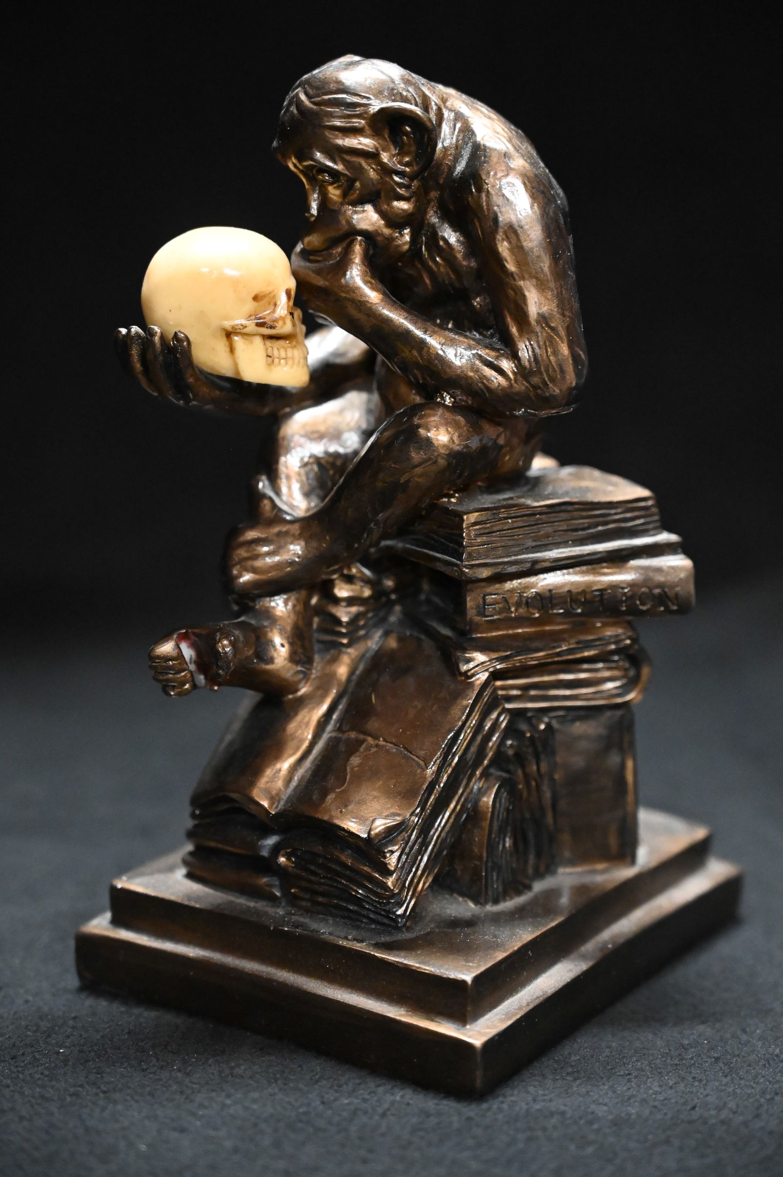 Rheinhold's Darwin Monkey Reproduction Statue 7 3/4" Tall. (1 of 5)