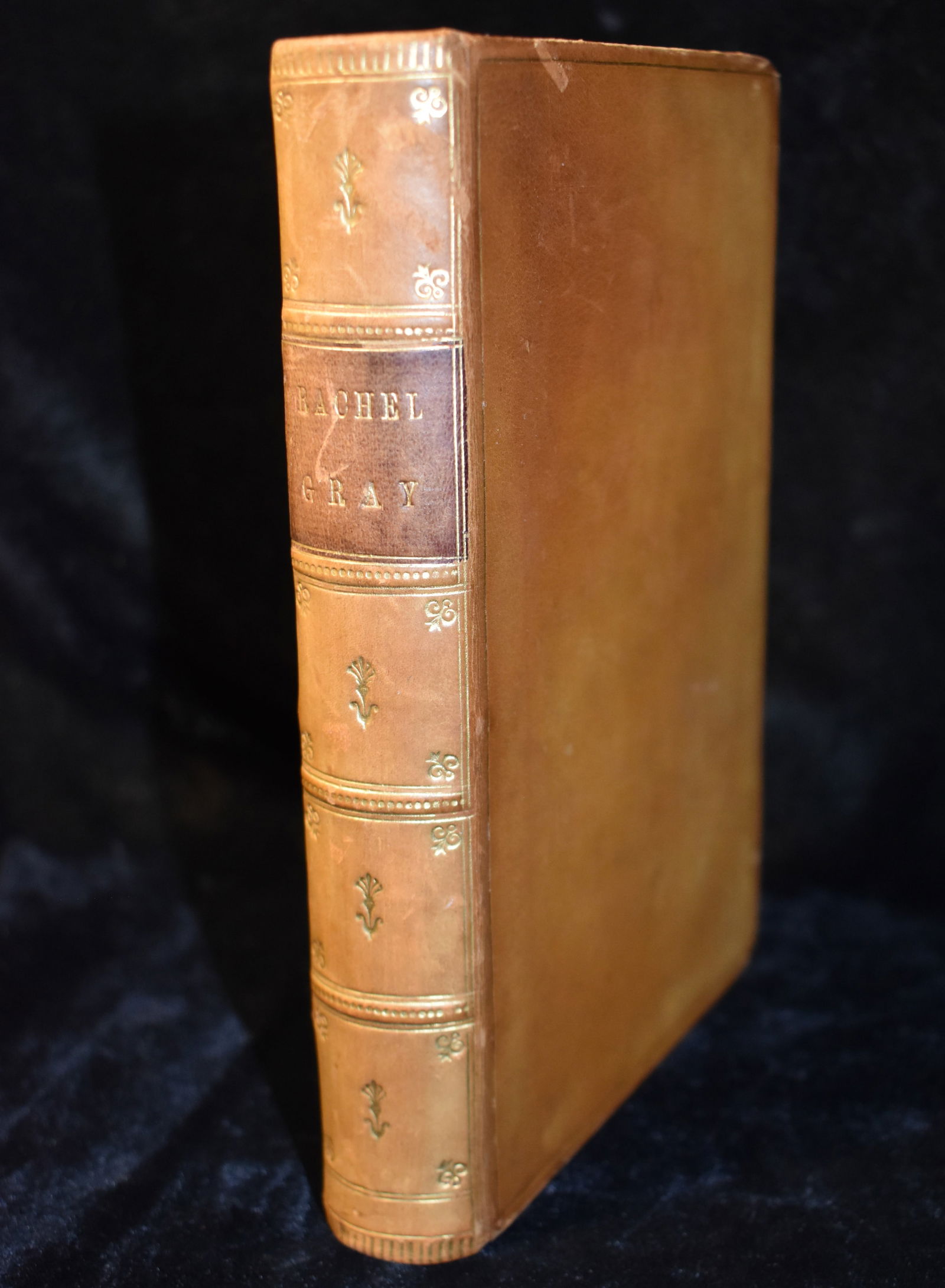 1856 Rachel Gray - A Tale Founded On Fact by Kavanagh Julia (1 of 9)